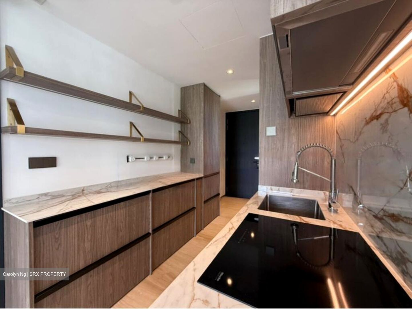 The Hyde (D10), Condominium #554698581